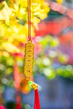 mậu binh di động Nohu